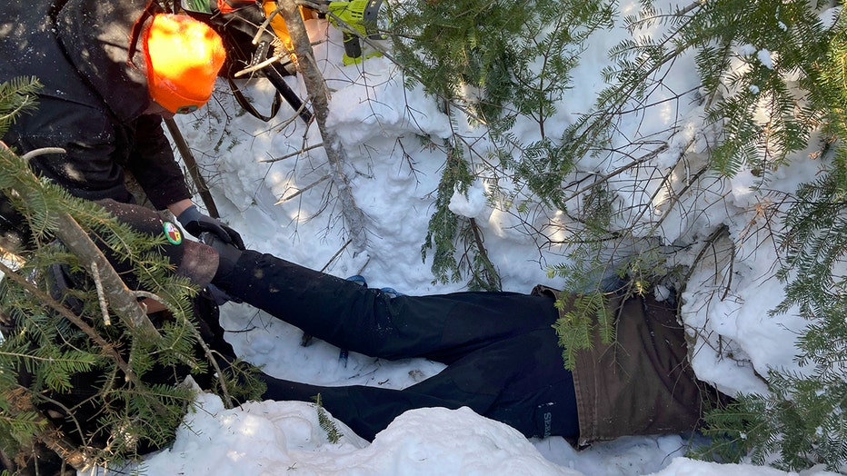 A researcher lies on his belly while partway inside a bear den; a colleague holds his feet