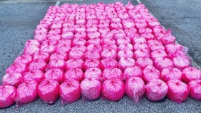 $35.2 million in meth seized by CBP officers from truck hauling strawberry purée