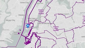 Task of drawing NY congressional maps falls to judge and scholar