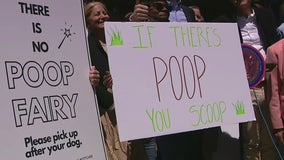 Dog feces crackdown on Manhattan streets; 'no poop fairy'