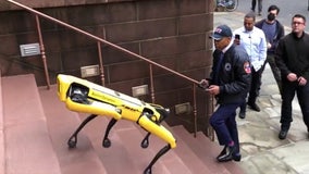 FDNY robot dog hits street