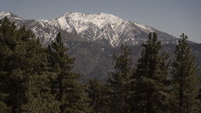 Woman survives 6 days in snowy California forest