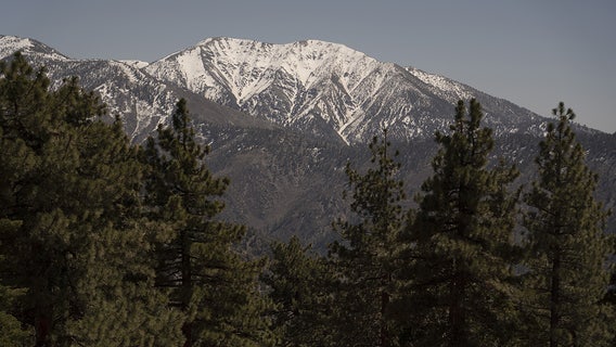 Woman survives 6 days in snowy California forest