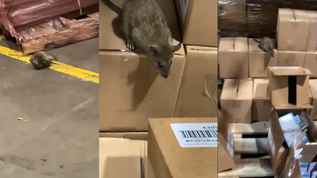 Arkansas attorney general files lawsuit against Family Dollar over rodent infestation at facility