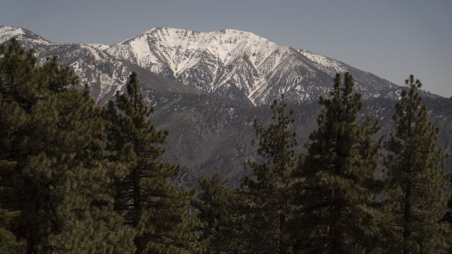 Woman survives 6 days in snowy California forest