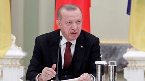 Turkey's president opposes Sweden and Finland joining NATO