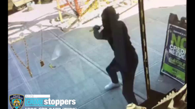 Video: Bronx smash-and-grab thieves steal over $130K in jewelry