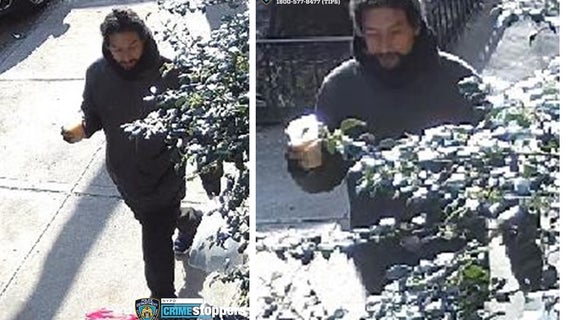 68-year-old Asian woman punched in stomach in Chelsea random attack