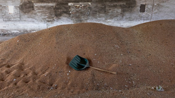 World has 10-week supply of wheat, expert tells UN Security Council: ‘This is seismic’