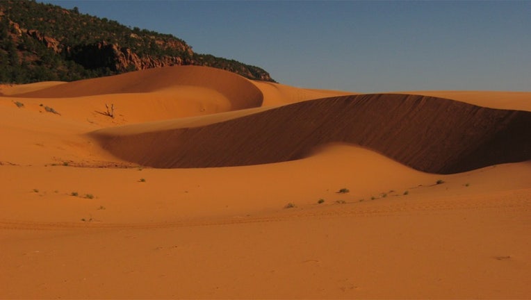 Stock Photo courtesey Coral Pink Sand Dunes State Park