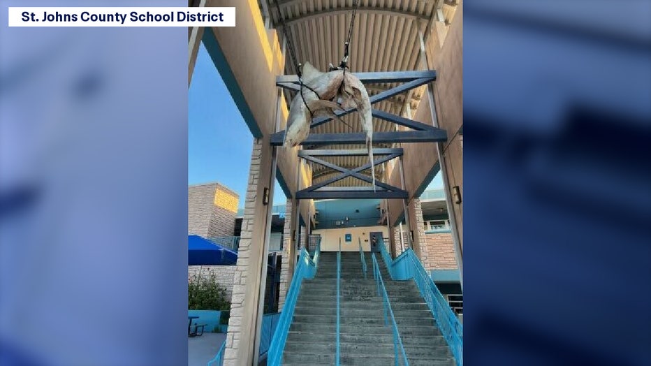 WOFL - Shark found at St. Johns County School District High School