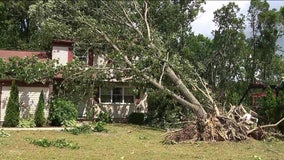 EF1 tornado touched down in Blackwood, New Jersey, NWS says