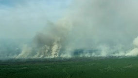 Illegal campfire caused massive Wharton State Forest wildfire, officials say