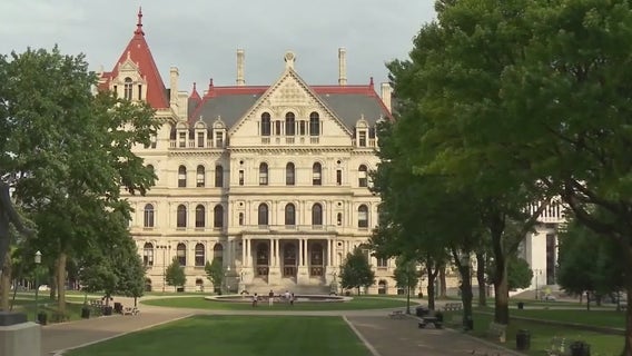 New York primary election 2022: Race for NY lieutenant governor