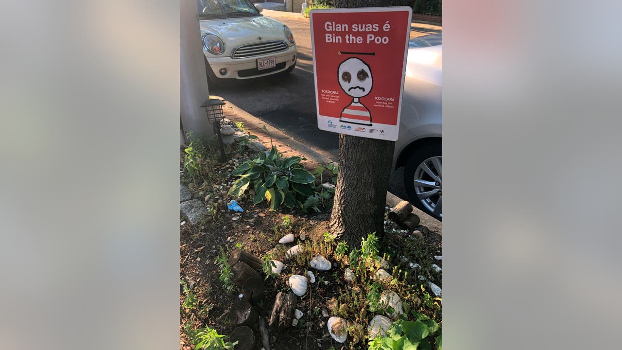 Tiny, infectious worm found in NY parks - Vimarsana News