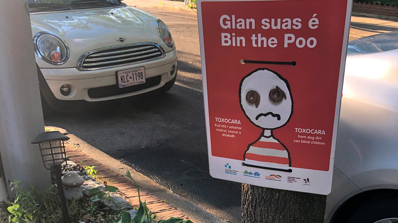 can dog poo blind a child
