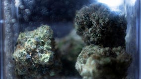 Senate bill would decriminalize marijuana at the federal level