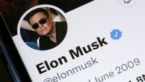 Elon Musk to countersue Twitter to blow up deal: report