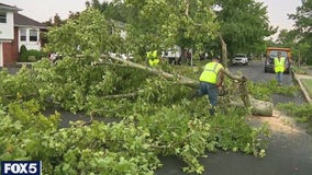 NY weather: Thunderstorms topple trees