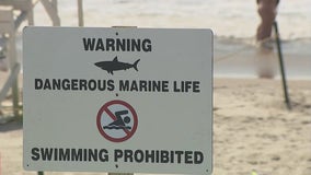 Long Island beach-goers wary after shark bite incidents