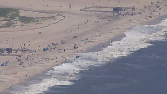 NYC shark sightings:  All Rockaway beaches closed to swimming