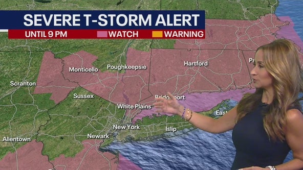 Severe thunderstorms roll through NYC area