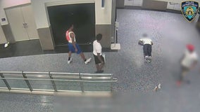 Arrest in brutal attack at Brooklyn mall