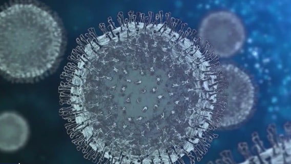 Monkeypox in NYC:  Are schools a concern?