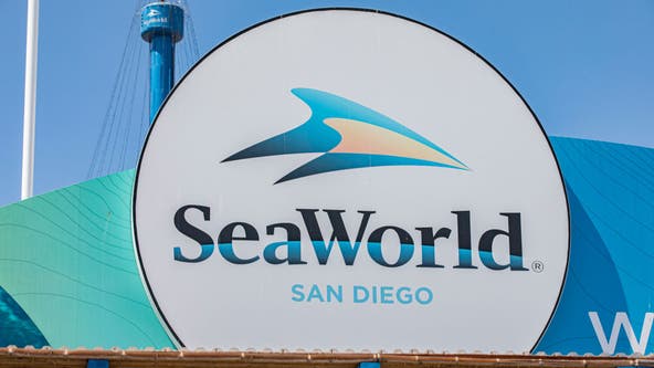 SeaWorld San Diego's 20-year-old killer whale Nakai dies after infection