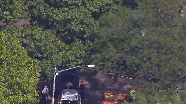 Tree falls on girl in Brooklyn