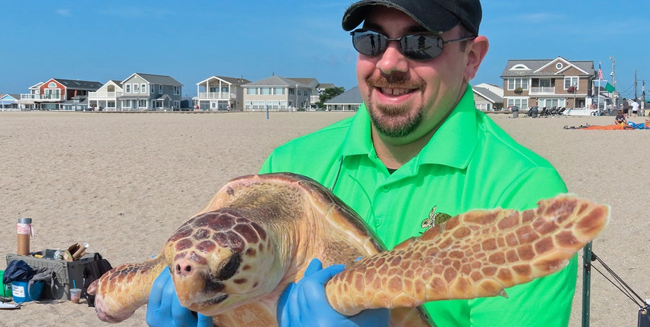 Best Publishing Company - Gracie Green Turtle Finds Her Beach