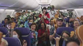 Guitar Center, Southwest give surprise in-flight ukulele lesson to passengers