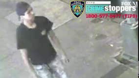 Suspect in series of Manhattan sex assaults arrested