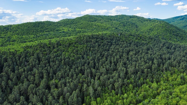 Chinese man trapped aloft in hydrogen balloon for 2 days