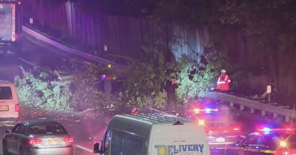 Driver killed by falling tree on I-95 | FOX 5 New York