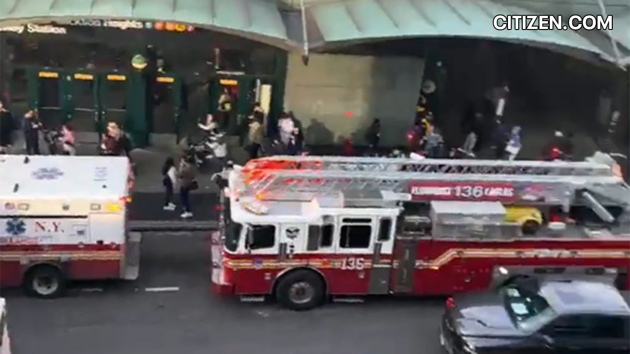 Man shoves another person in front of train in Queens; victim dies - Vimarsana News