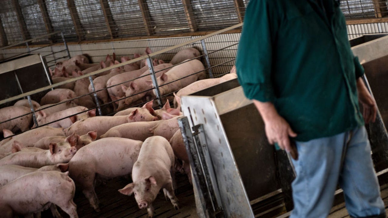 Supreme Court to hear case that could raise price of bacon other pork