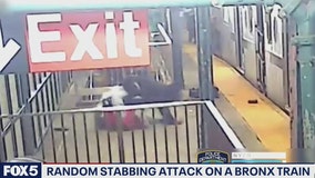 Man dies after Bronx subway attack