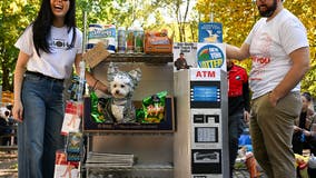 Dogs strut their stuff at Tompkins Square Halloween Dog Parade