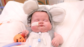 NICU babies at Children's National celebrate 1st Halloween