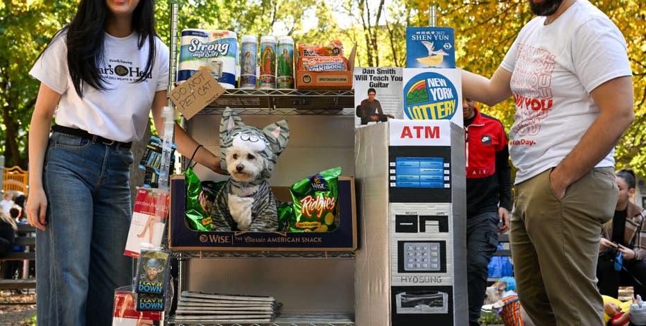 The 31st annual Tompkins Square Halloween dog parade, Art and design