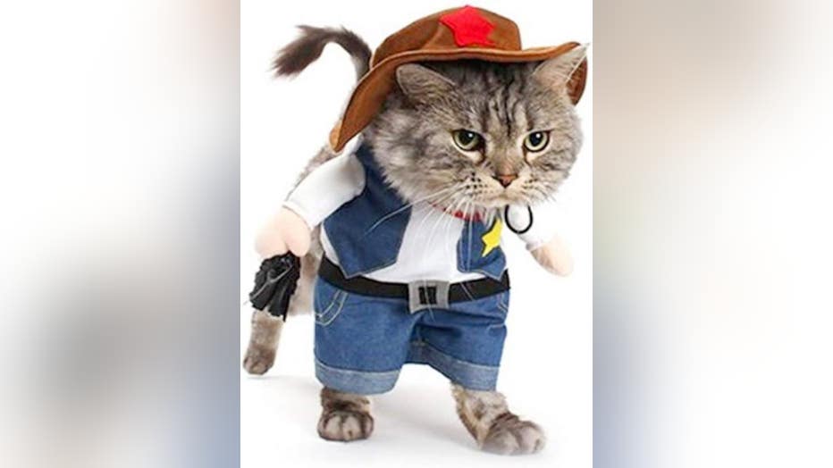 Sheriff-Cat.jpg