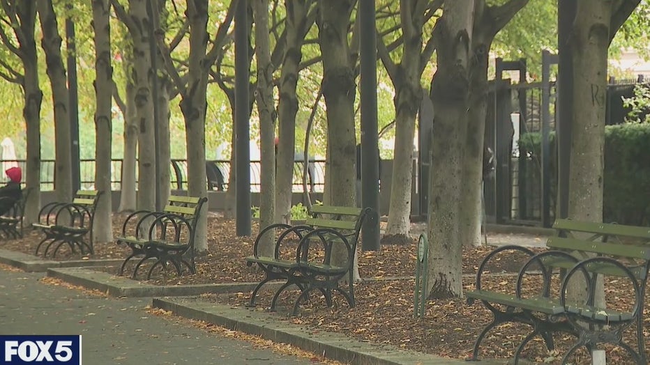 Benches and trees in a park