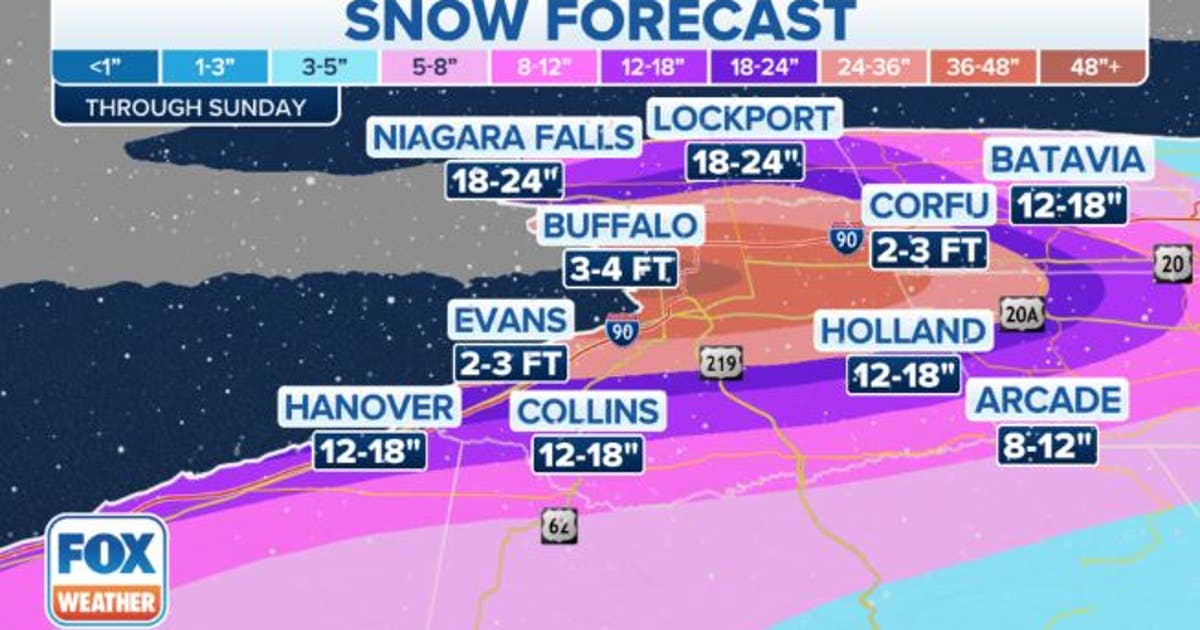 NY declares state of emergency in 11 counties as massive snowstorm hits ...