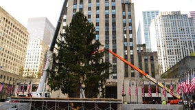 Rockefeller Center Christmas Tree arrives in Manhattan