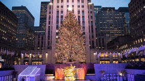 2022 Rockefeller Center Christmas Tree selected