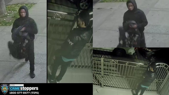 Driver struck police officer, several other vehicles in the Bronx