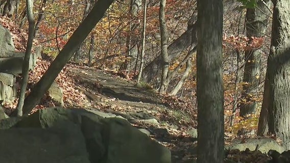 Hiker falls off trail, spends night stuck on steep hill