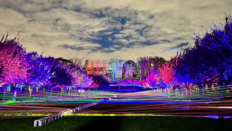 Colorfully illuminated trees and landscape at Brooklyn Botanic Garden