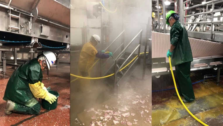 Department of Labor photos show workers at the meat plants.